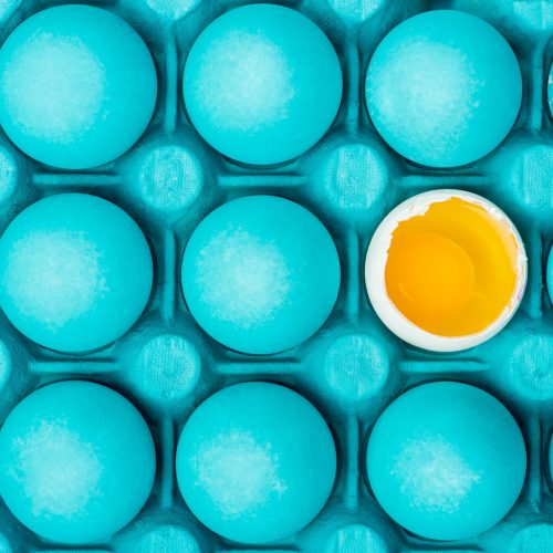 Egg Box